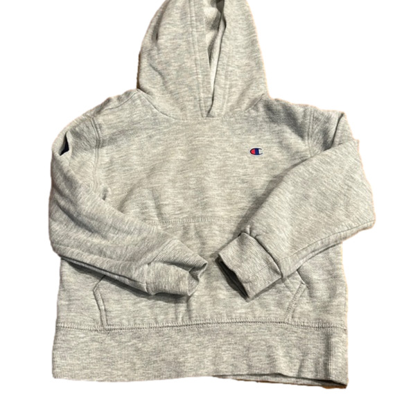 Champion size 4 t hoodie good condition - Picture 1 of 3